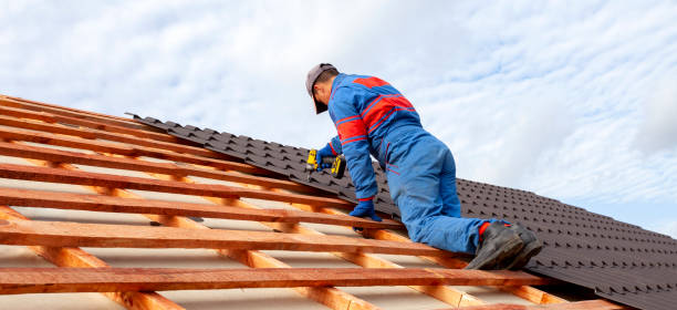 Best Cold Roofs  in St Johns, AZ